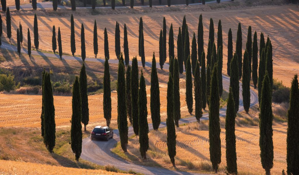 international driving permit italy