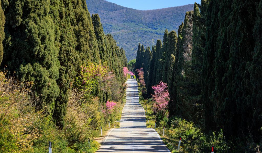 road rules driving in italy