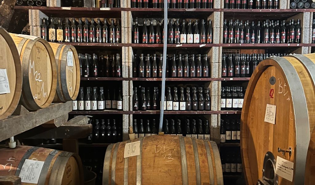 wine barrels at italian winery