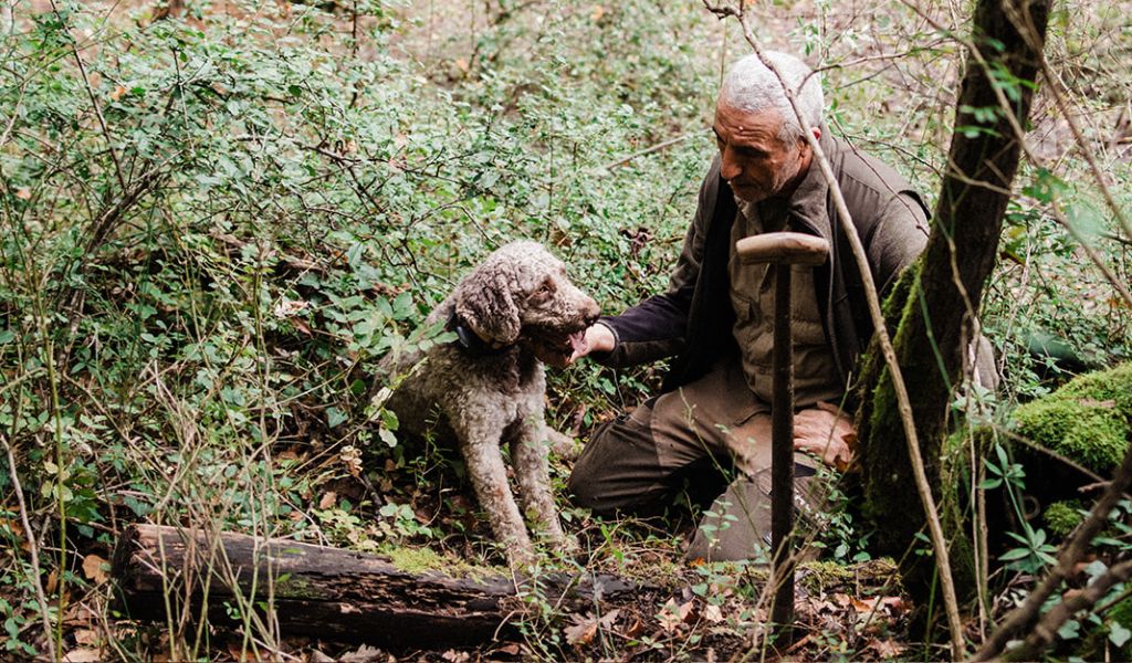 truffle hunting with untold italy tours in tuscany